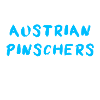 Austrian Pinscher