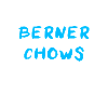 Berner Chow