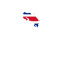 Heartbeat Design Costa Rica Flag