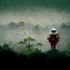 Lonely Voyager 001
