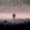 Lonely Voyager 011