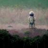 Lonely Voyager 027