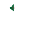 Heartbeat Design Algerian Flag Algeria