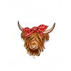 Scottish Highland Cattle Cow