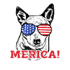Merica! - Heeler
