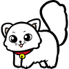 Kitten