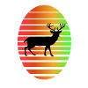 Hirsch