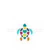 Saint Barth sea turtle