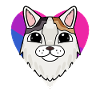 Bisexual Turkish Van Cat Gift