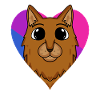Bisexual Somali Cat Gift