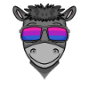 Bisexual Donkey Gift