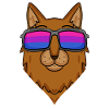 Bisexual Somali Cat Gift