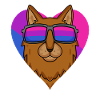 Bisexual Somali Cat Gift