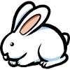 Lapin cool