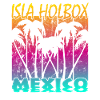 Isla Holbox Mexico