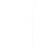 Judo Retro Judoka