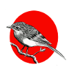 bird