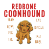 Anatomie d’un Redbone Coonhound
