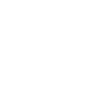 Evolution Kunstlehrer