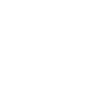 Evolution Lagerist