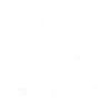 Ânes du monde, ânes
