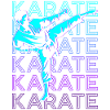 Karate Retro