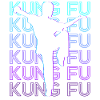 Kung Fu Rétro