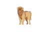 Leonberger Heartbeat