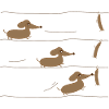 Teckels et saucisses