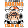 Tarantula Spider Tarantula