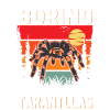 Tarentule Araignée Tarentule