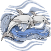 Dauphins