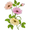 Fleur