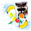 raccoon,bear,graffiti,painting,mint,fruit