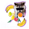 raccoon,bear,graffiti,painting,mint,fruit