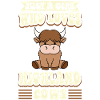 Scottish Highland Cattle Cow