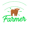 Scottish Highland Cattle Cow