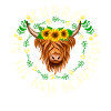 Scottish Highland Cattle Cow
