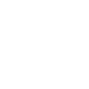 Catahoula Heeler Papa