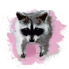 raccoon,bear,graffiti,painting,pink,fruit
