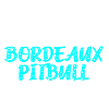 Bordeaux Pitbull