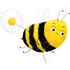 Biene Paula