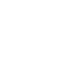 Roi du Ring, Boxeur