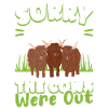 Scottish Highland Cattle Cow