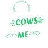 Scottish Highland Cattle Cow