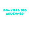 Bouviers Des Ardennes