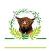 Scottish Highland Cattle Cow