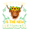 Scottish Highland Cattle Cow