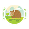Vache bovine écossaise des Highlands