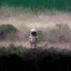 Lonely Voyager 040